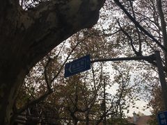 -上海交通大学医学院附属瑞金医院(总院)