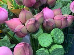 -双季花艺园艺市场(浦东店)