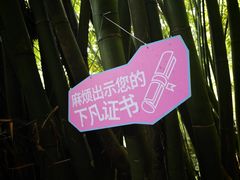 -赤水丹霞旅游区·大瀑布