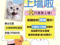 -鹏欣水游城