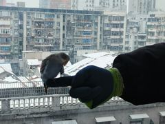 -怪兽屋·羊驼·猫咖·狗咖(俊华广场店)