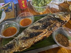 -杨合林啊兰烤鱼