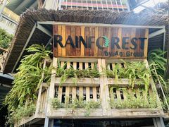 -Rainforest