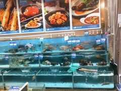 海鲜池-强记海鲜·大排档(蛇口新街店)