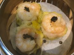 -糖朝(尖沙咀店)