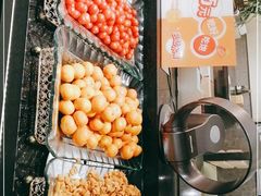 -大丰收脆鱼(正荣财富中心店)