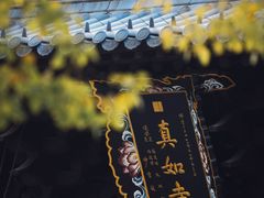 -真如寺