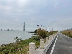 -芒洲湿地公园