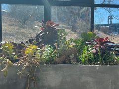 -北马山庄植趣咖啡