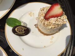 Cova(新天地北里店)-COVA(新天地Xintiandi店)