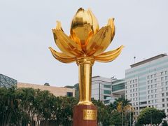 -金莲花广场
