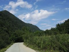 -黑河国家森林公园