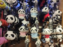 -熊猫屋(宽窄巷子景区店)