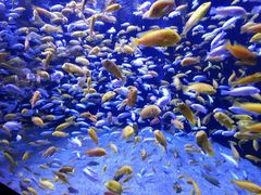 -成都浩海立方海洋公园