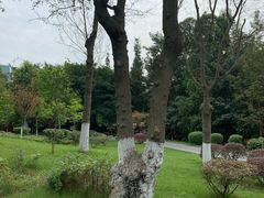 -府河摄影公园