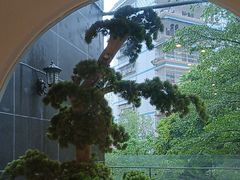 -满香舒·漳州小馆(大唐店)