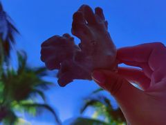 -三亚西岛海洋文化旅游区