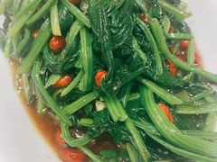 陈醋菠菜-双井轩(双井店)