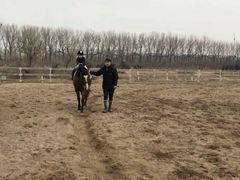 -月河湾马术俱乐部(朝阳店)