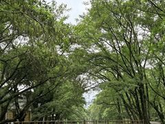 -西溪南古村落