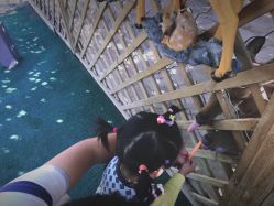 -萌宠亲子动物乐园(槐房万达店)