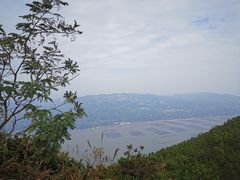 -花竹村