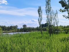 -野鸭湖国家湿地公园