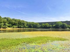 -南京维景国际大酒店(南京博物院店)