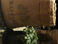 -Long Bar(莱佛士酒店)