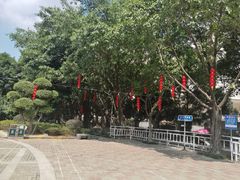 -光明港公园
