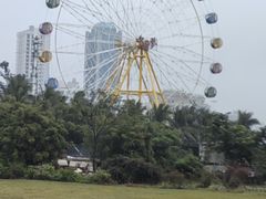 -万绿园