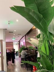 -崇尚GAVIN STYLE臻选