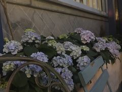 -花·fleur古董西餐厅(西城夜未央店)
