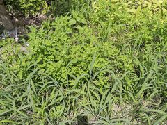 -南通博物苑-崇川人民公园