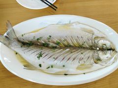 清蒸白鱼-品鲜村农家菜·阳澄湖大闸蟹(总店)
