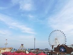 -秦皇岛乐岛海洋王国