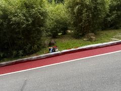 -火炉山森林公园