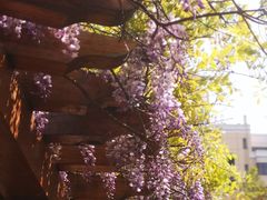 -徐家汇源景区-衡山公园