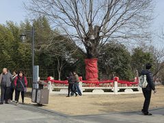 -东台西溪天仙缘景区