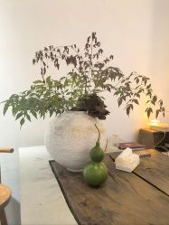 -Y+U遇瑜伽·普拉提