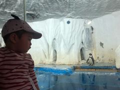 -太平洋海底世界