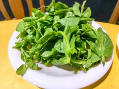 豌豆尖-巴壁馆(海棠花语店)