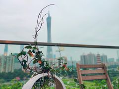 -小茶闲舍·观景商务茶馆(广州塔店)