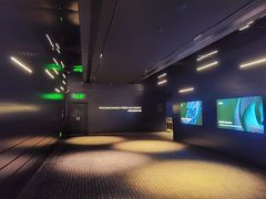 -奥斯卡升龙国际影城(RealD Cinema)