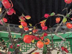 -荷塘秋月·本帮江浙菜(国权路店)