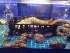 -东富酒家(龙湖西溪天街店)