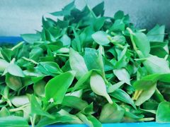 -老味道1992(武当山店)