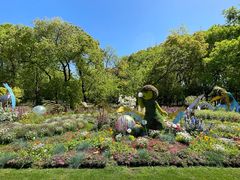 -上海共青森林公园