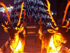 景点-小白楼1902欧式风情街