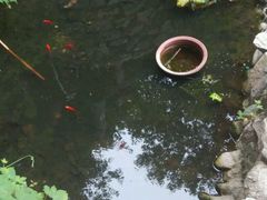 -沣峪森林公园龙潭戏水景区
